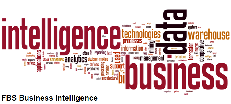 FS Business Intelligence