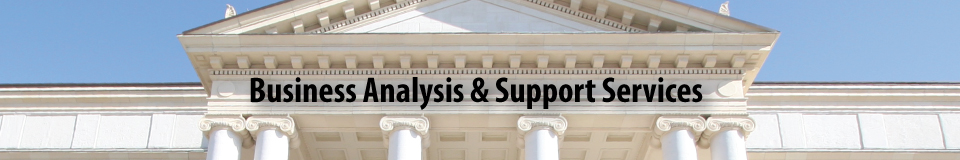Business Analysis & Support Services