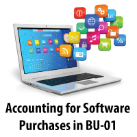Accounting for Software Purchases in Business Unit 01
