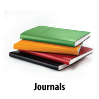 Interfacing Journals with the General Ledger (GL)