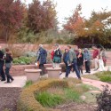 Red Butte Garden and Arboretum Visit